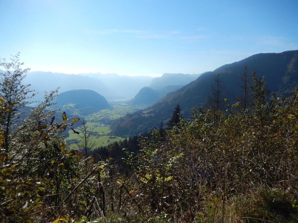 Apartments Mlin Bohinj ภายนอก รูปภาพ