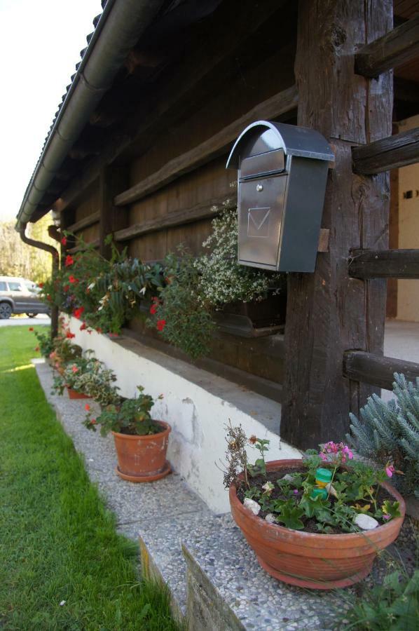 Apartments Mlin Bohinj ภายนอก รูปภาพ